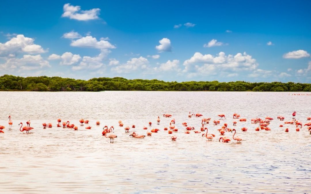 10 Scenic Small Towns To Visit On Mexico’s Yucatán Peninsula